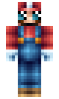 hubott minecraft skin