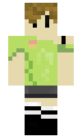 67e6660009d8c0 minecraft skin