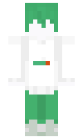 681aad80c66341 minecraft skin
