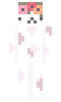 685cb0422095f1 minecraft skin