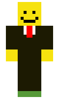 688c1a491fb455 minecraft skin