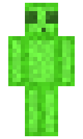 6891c1196334ff minecraft skin
