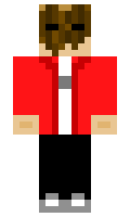 68c2998f023541 minecraft skin
