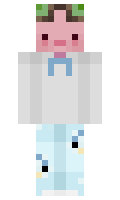 68ec1223e4ba02 minecraft skin