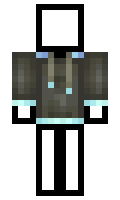 litrix minecraft skin