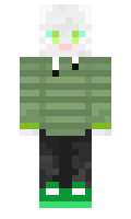 6914e4a2985b67 minecraft skin