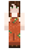 695b4bf17655f8 minecraft skin