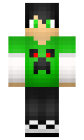 guil minecraft skin