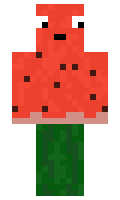 RoM4Ik minecraft skin