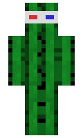 oorr minecraft skin