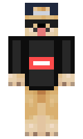 DoggyGamer1032 minecraft skin
