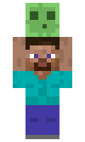 6981937b6cd2d3 minecraft skin