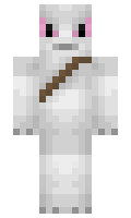 KlRB minecraft skin