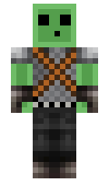 hopm minecraft skin