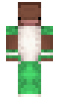 69bb83d3aaae79 minecraft skin