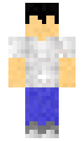 6a1f4993311660 minecraft skin