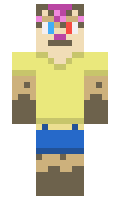 6a2c29a5044f4b minecraft skin