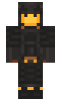 Fluing minecraft skin