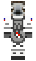 Triburant minecraft skin