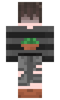 6aab4a3ccf6e40 minecraft skin