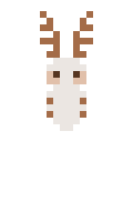 Monogonomon1776 minecraft skin
