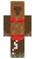 6ab5aaa366762a minecraft skin