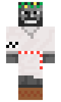 suPerPuPs minecraft skin