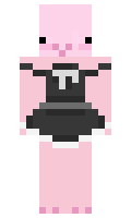 6adb11583ddcff minecraft skin