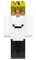 6ae06548efe400 minecraft skin