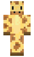 WorlPool minecraft skin