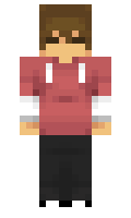 er8t minecraft skin