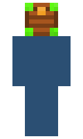 6b62bdaec82206 minecraft skin