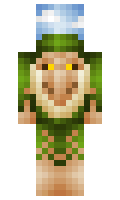zapokas minecraft skin