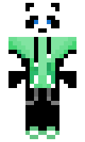 donkan minecraft skin