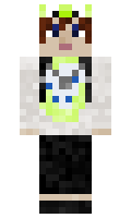 NameMCiscool minecraft skin