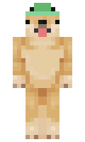 6b8c1b23c4cf62 minecraft skin