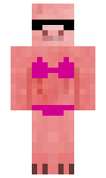 runmrpig minecraft skin