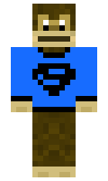 paras minecraft skin