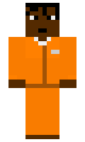 Unfalsifiable minecraft skin