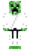 Mandavoshka minecraft skin