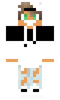 holdeeni minecraft skin