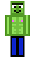 zallic minecraft skin