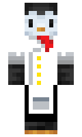 HyperK1n minecraft skin