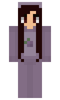 invising minecraft skin