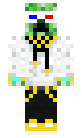 dippi1 minecraft skin