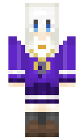 roni minecraft skin
