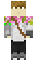 1087 minecraft skin
