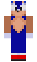 SheL minecraft skin