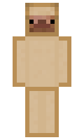 sqmn minecraft skin