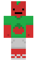 gregstagebuch09 minecraft skin